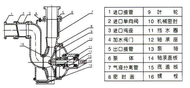 ZW型自吸式無(wú)堵塞排污泵（結(jié)構(gòu)圖）